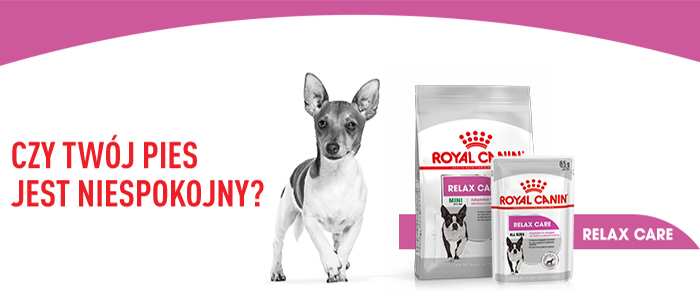 ROYAL CANIN CCN Mini Relax Care Trockenfutter für erwachsene Hunde kleiner Rassen, die Stress ausgesetzt sind